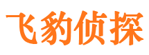 临渭寻人公司